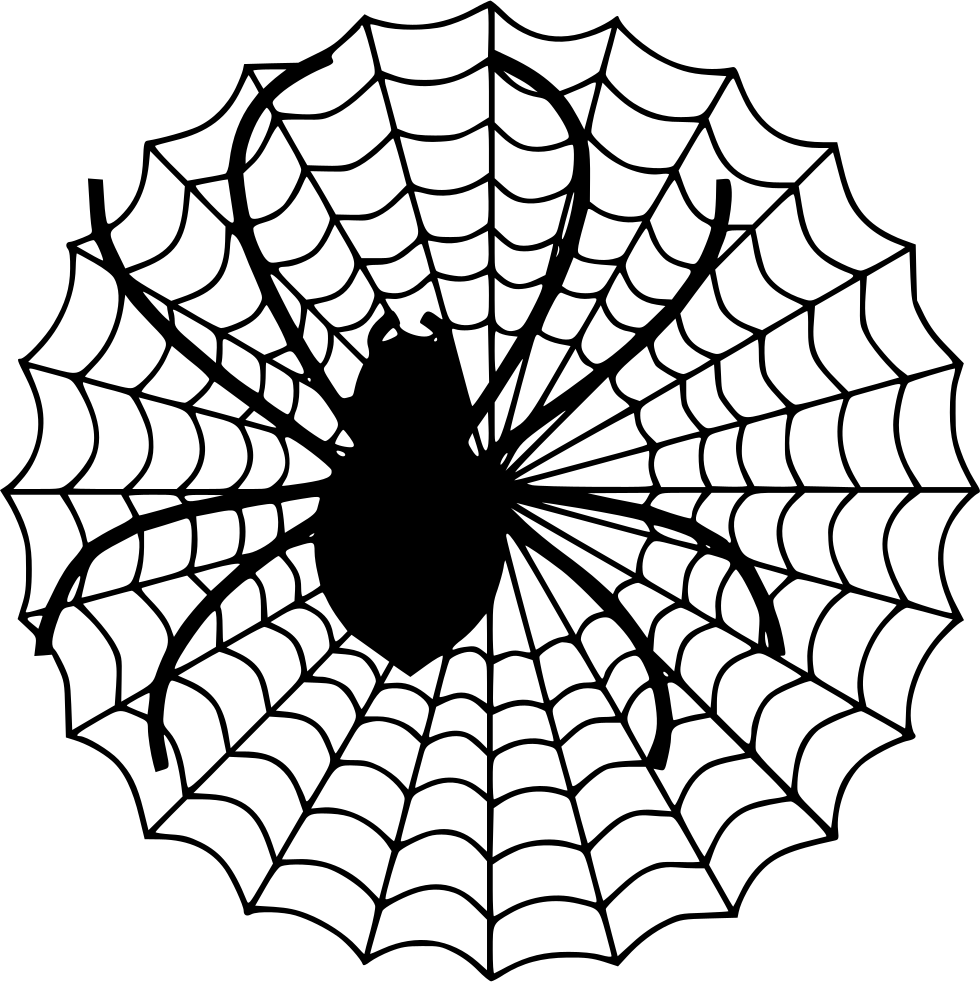 Spider Web PNG Cutout