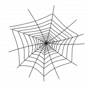 Spider Web PNG Image
