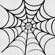 Spider Web PNG Image HD
