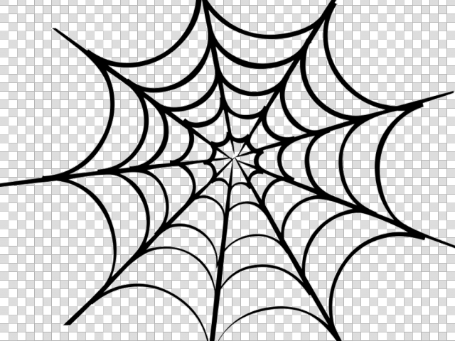 Spider Web PNG Image HD