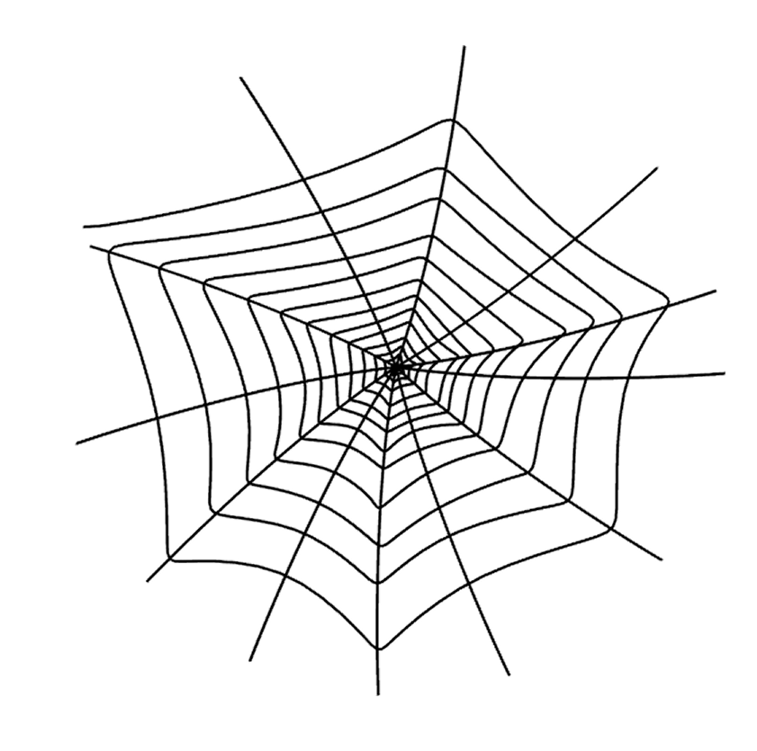 Spider Web PNG Image