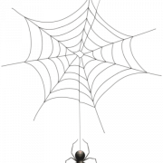 Spider Web PNG Images