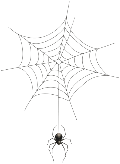 Spider Web PNG Images