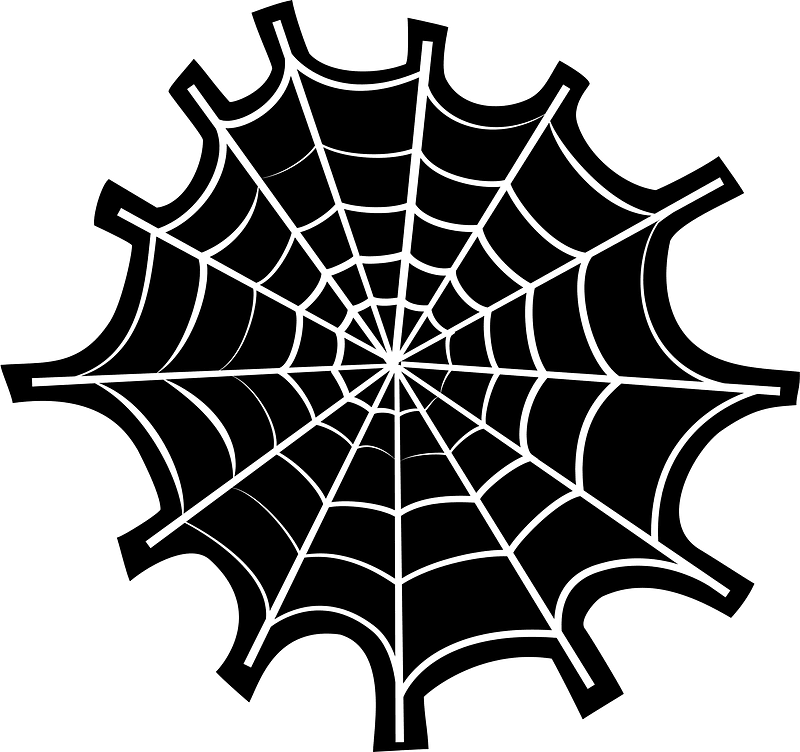 Spider Web PNG Photo