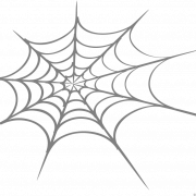 Spider Web PNG Photos