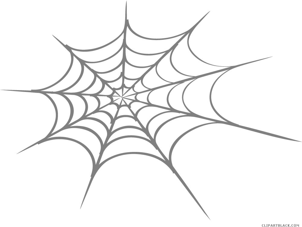 Spider Web PNG Photos