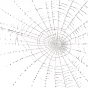 Spider Web PNG Pic
