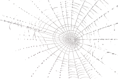 Spider Web PNG Pic