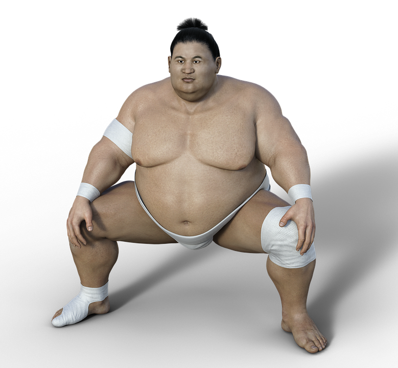 Archivo de png de sumo tokio