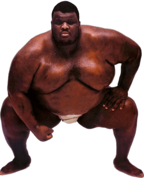 Sumo Wrestler PNG