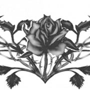 Tattoo Arm PNG Background - PNG All