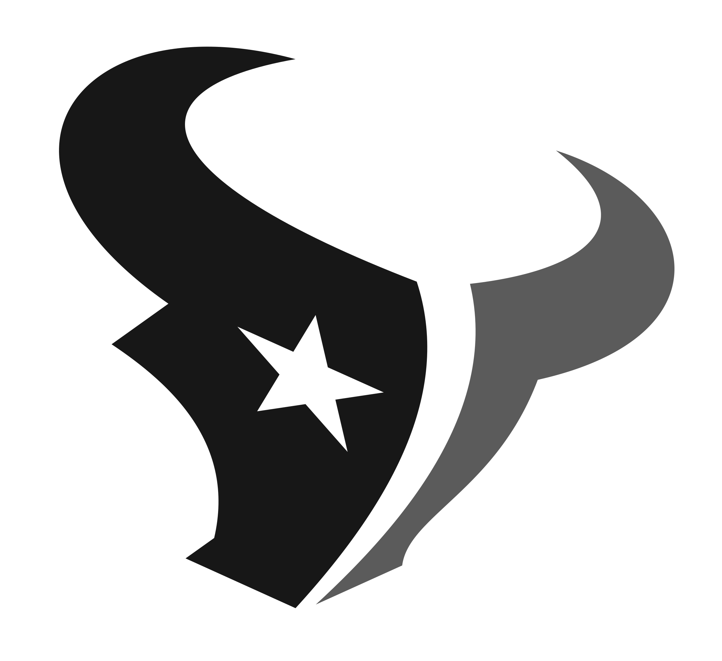 Texans Logo PNG Pic