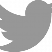 Tweet Logo PNG Cutout