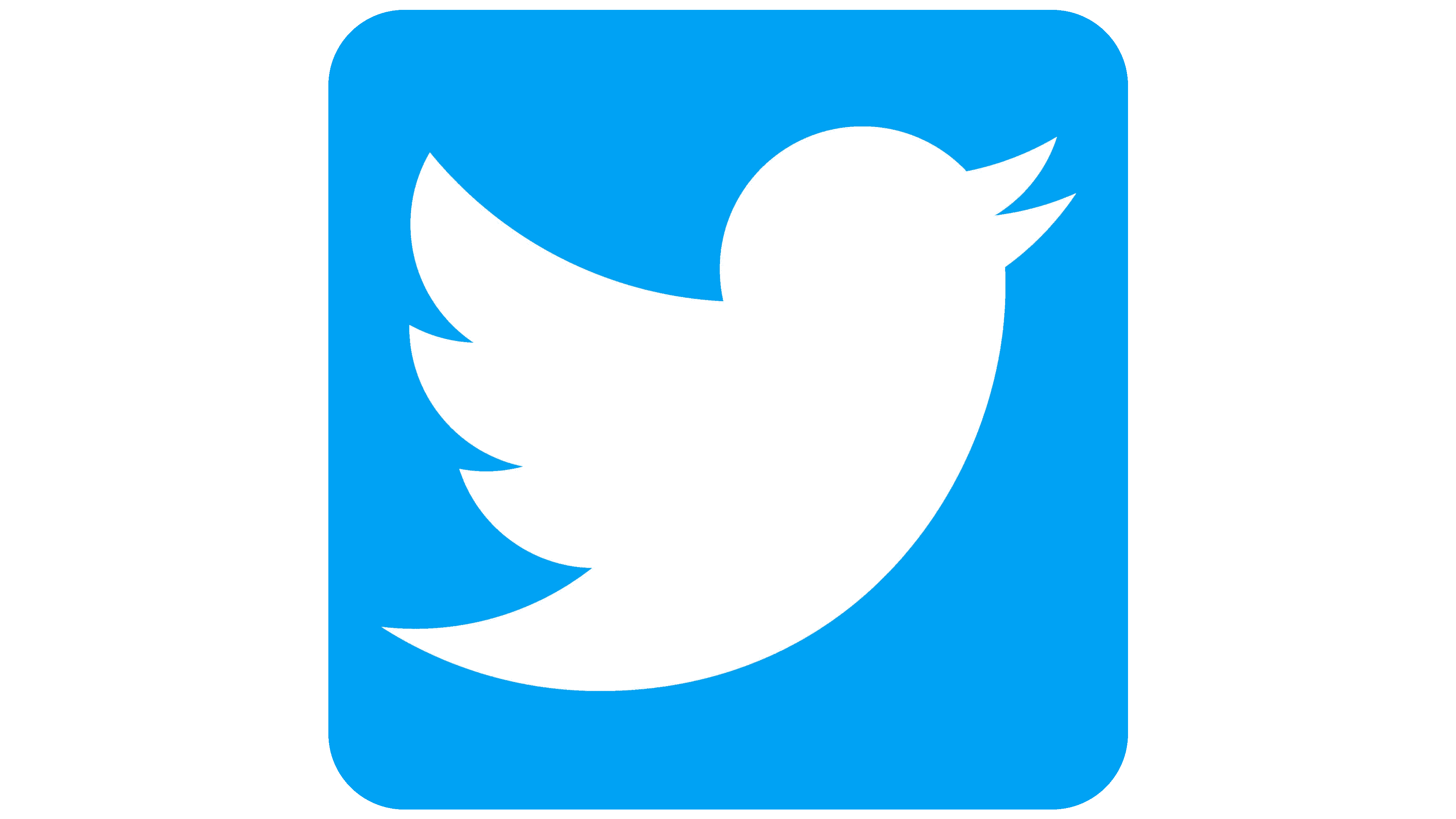 Twitter Logo No Background