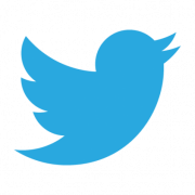 Twitter Logo PNG Cutout