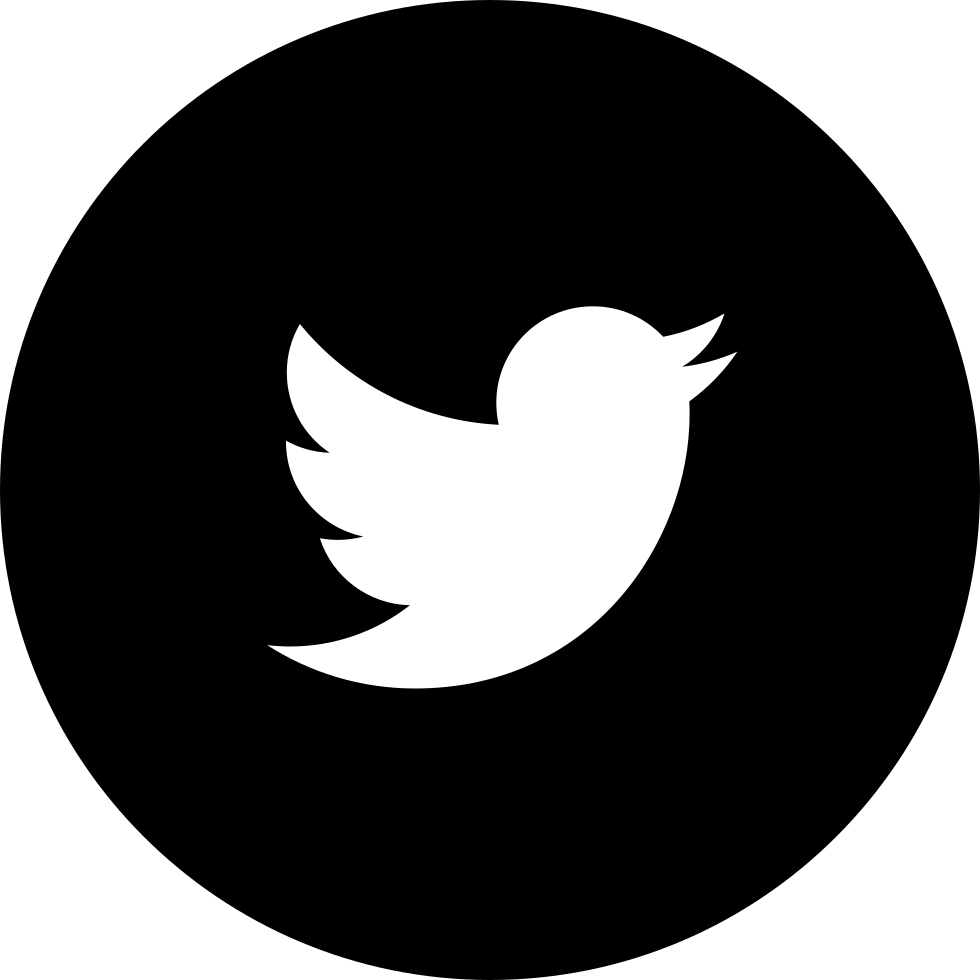 Twitter Logo PNG Image HD
