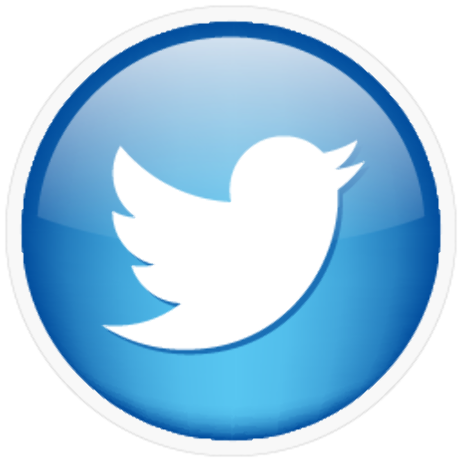 Twitter Logo PNG Photo
