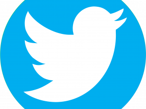 Twitter Logo PNG Picture