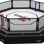UFC walang background