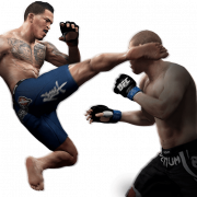 UFC PNG -Datei