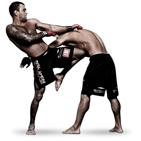 UFC PNG HD Image