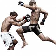 UFC -Spieler PNG