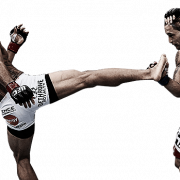 UFC Player Png Pic