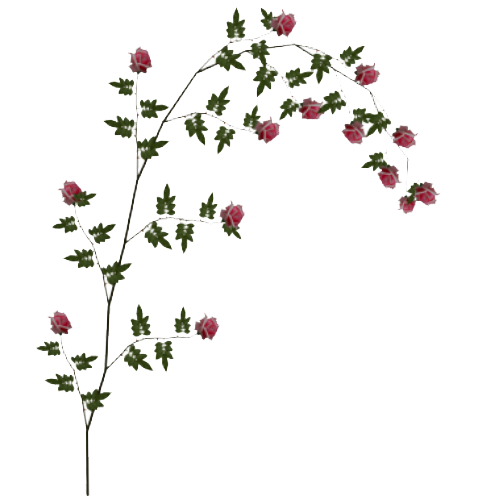 Vines PNG Picture