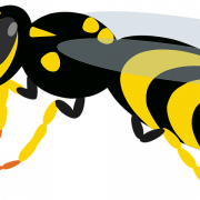 Wasp Bee PNG