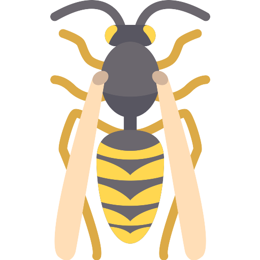 Wasp Bee PNG File