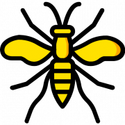 Wasp Bee PNG Photo