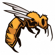 Wasp Hornet PNG File