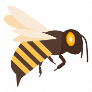 Wasp Hornet PNG Photo
