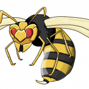 Wasp Hornet PNG Picture