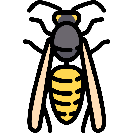 Wasp PNG Image