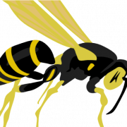 Wasp Queen PNG