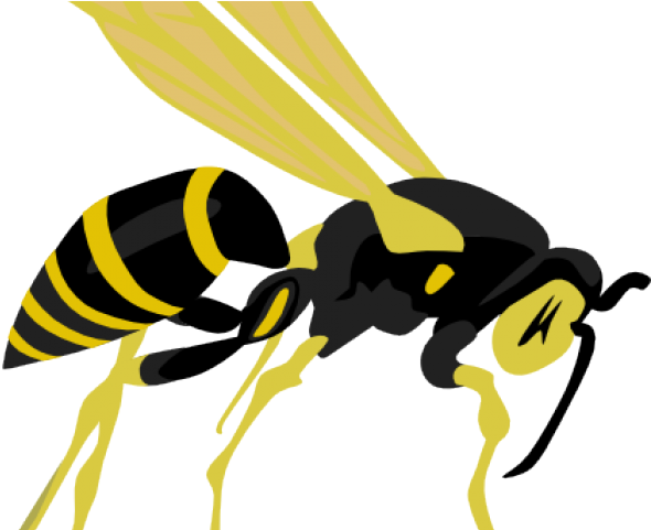 Wasp Queen PNG