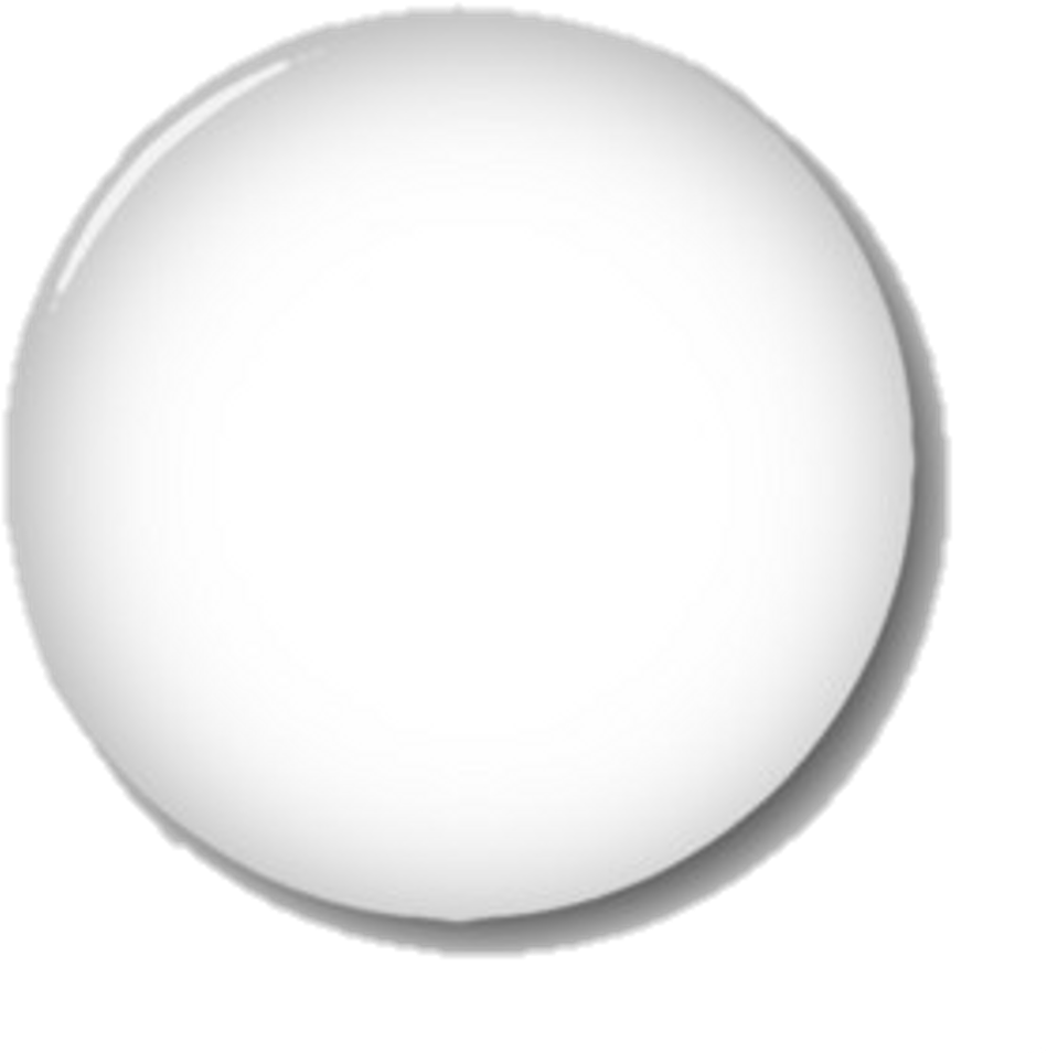 White Circle PNG Image