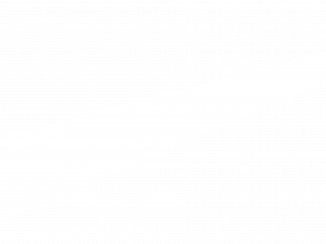 White Nike Logo PNG