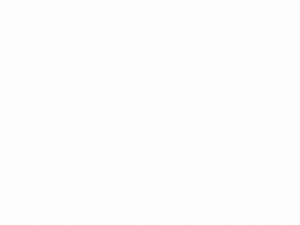 White PNG Picture