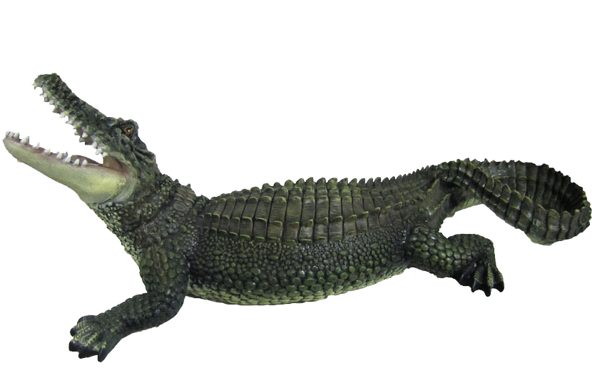 Alligator PNG Clipart