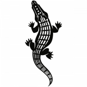 Alligator PNG Free Image