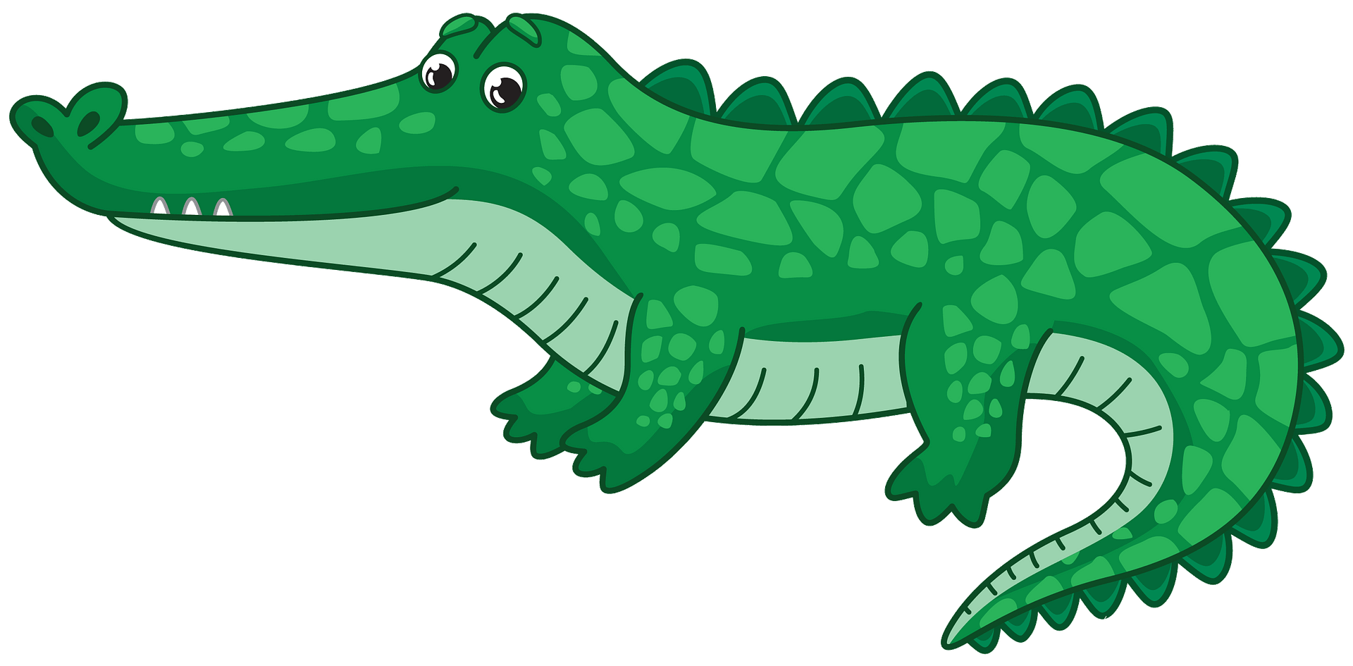 Alligator PNG Images