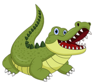 Alligator PNG Picture