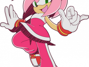 Amy Rose PNG Photo