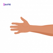 Animated Hand PNG Clipart