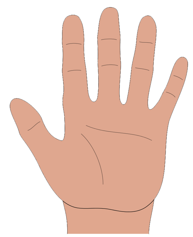 Animated Hand PNG Photos