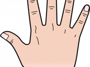 Animated Hand PNG Picture