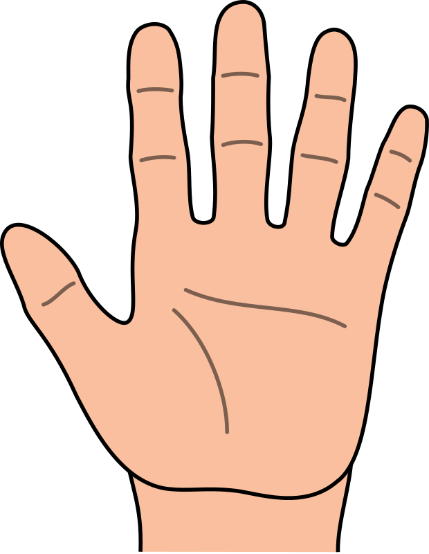 Animated Hand Transparent