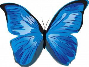 Blue Butterfly PNG Photo